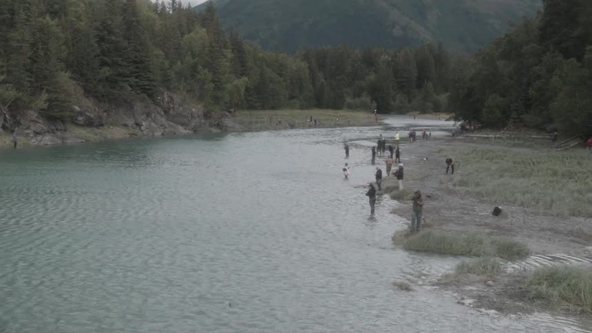 People are lined up fishing by the creek