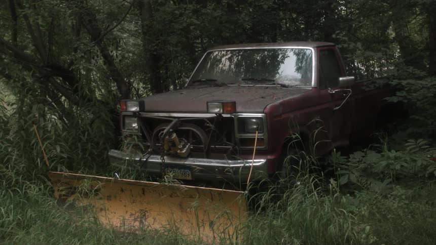 A truck with a plow attached sits in overgrowth