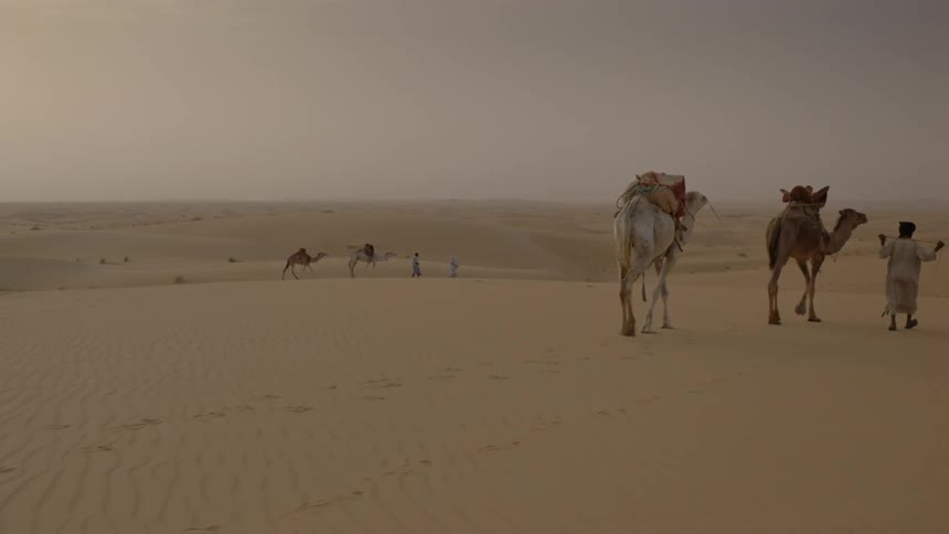 People travel with camels across a sandy desert
