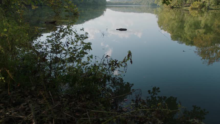 Trees are reflected in a mountain lake