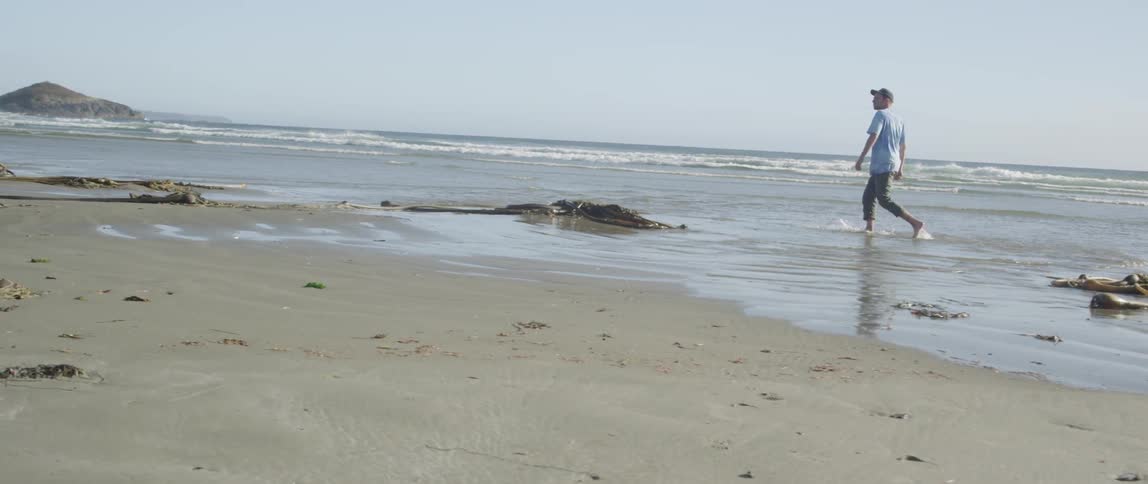 A person walking on the beach