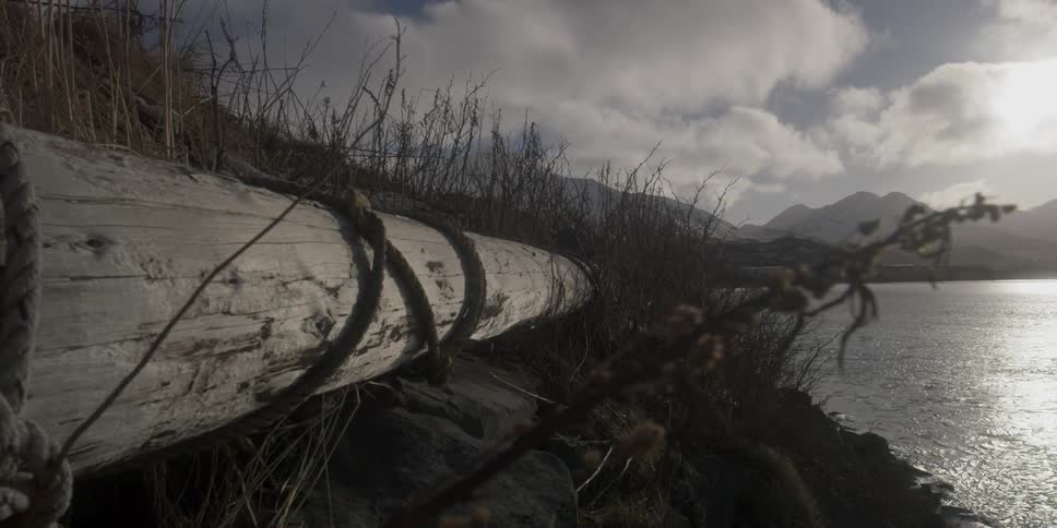 An old log is resting on a shoreline on a cloudy day