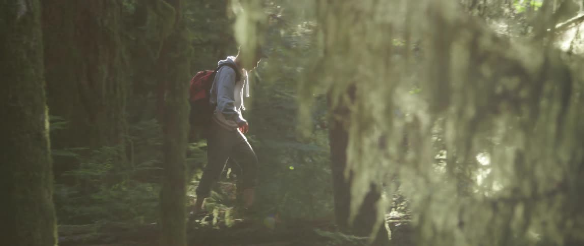 A person walking in the woods