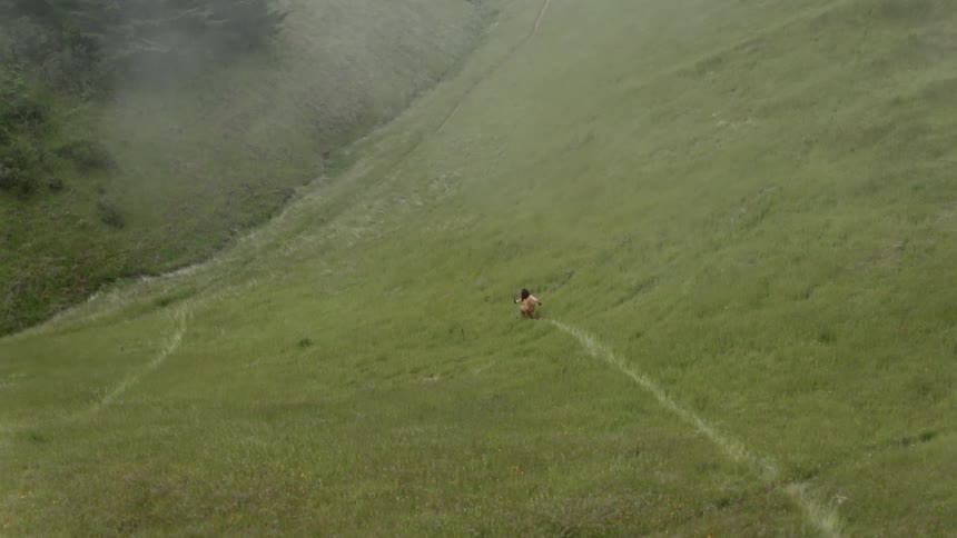 A man skis down a grassy mountainside