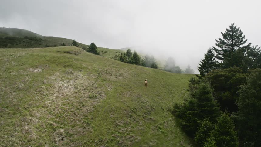 A person is climbing up a hill on a foggy day