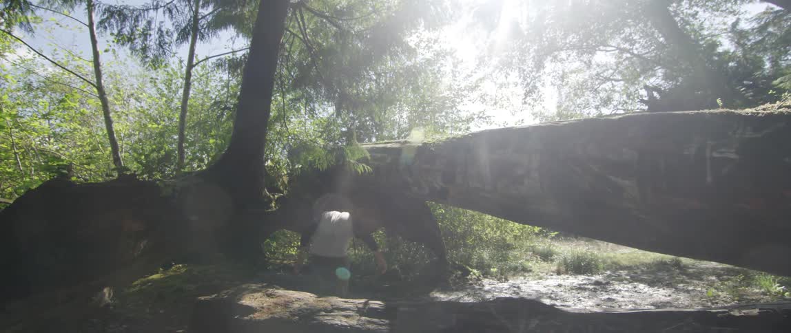 A person walking in the woods