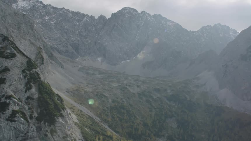 A forest valley surrounded by mountains
