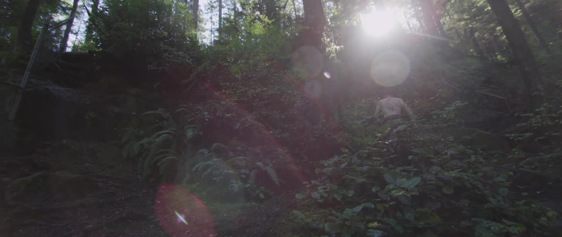 A min hikes in the forest