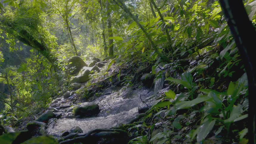 Water flowing rapidly down a stream