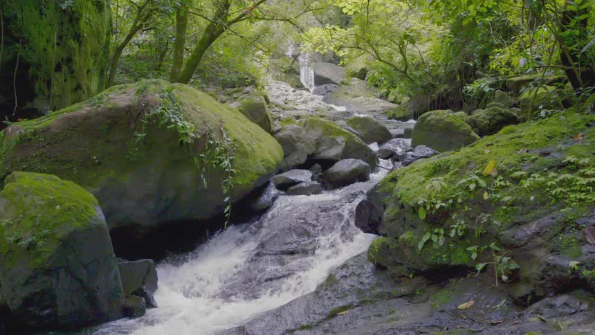Water flowing rapidly down a stream