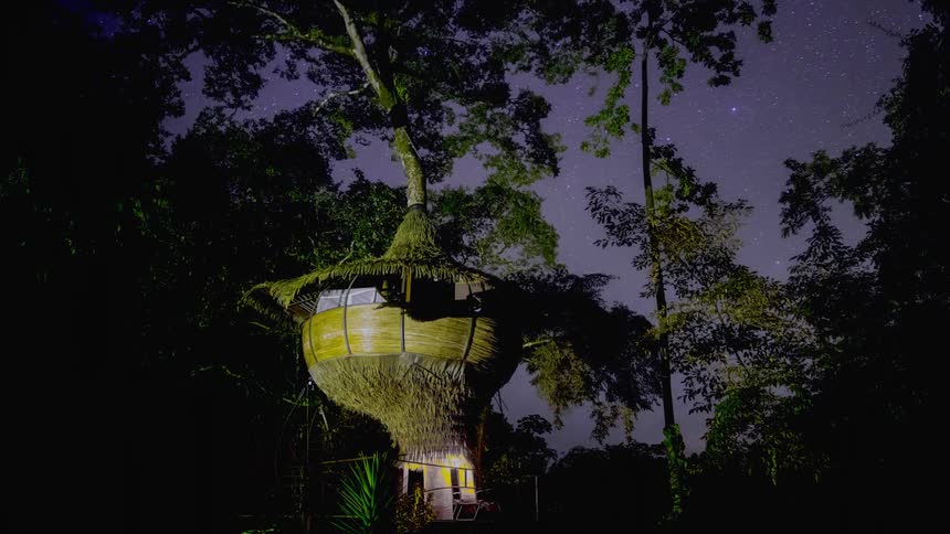 Tree hut at night