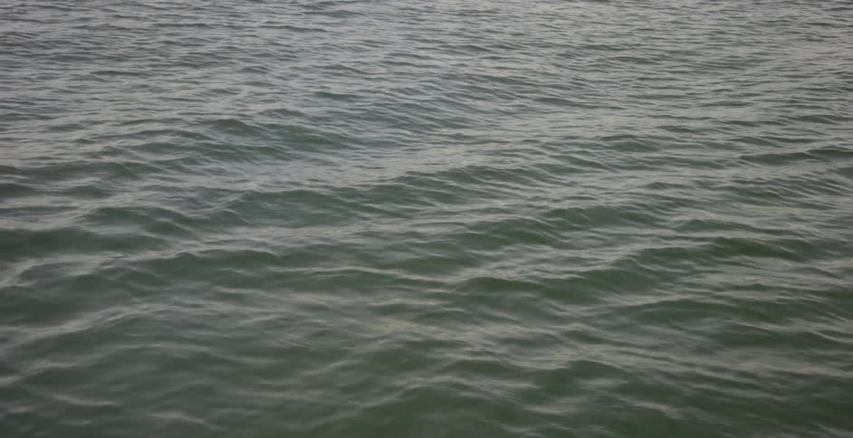 Ripples in the water