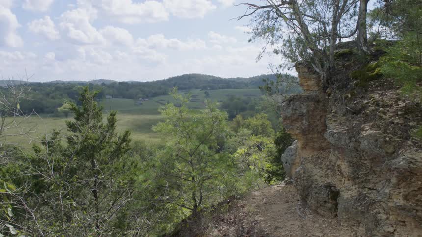 The cliff has trees at the top