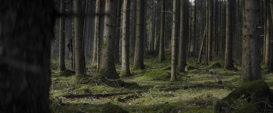 A man walks through the woods
