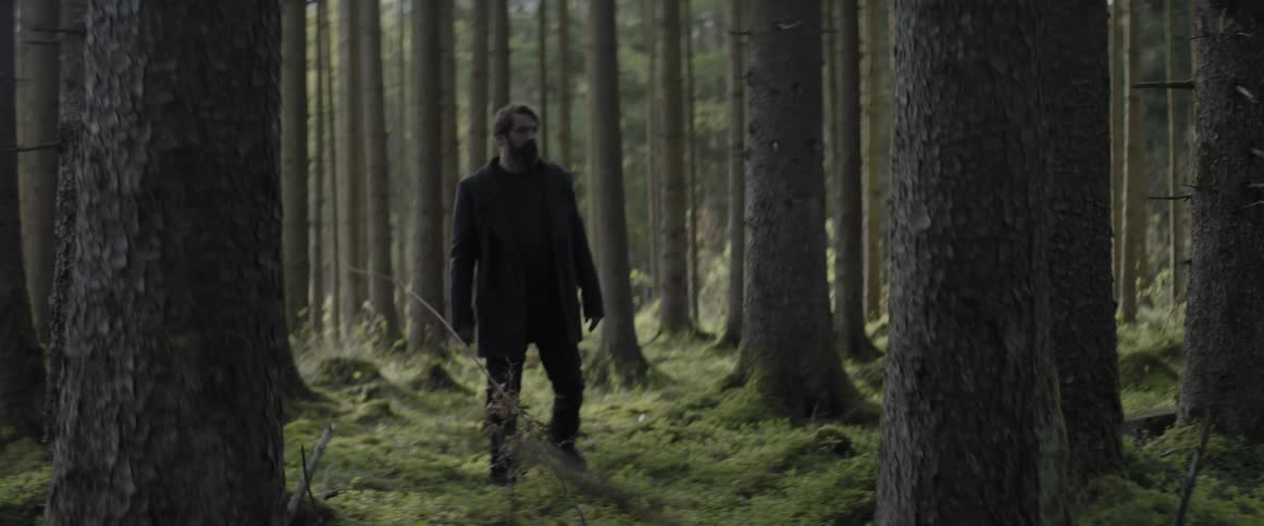 A man walks through the woods