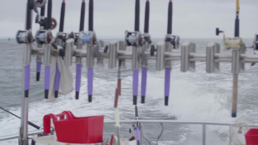 The boat has many fishing poles on the back