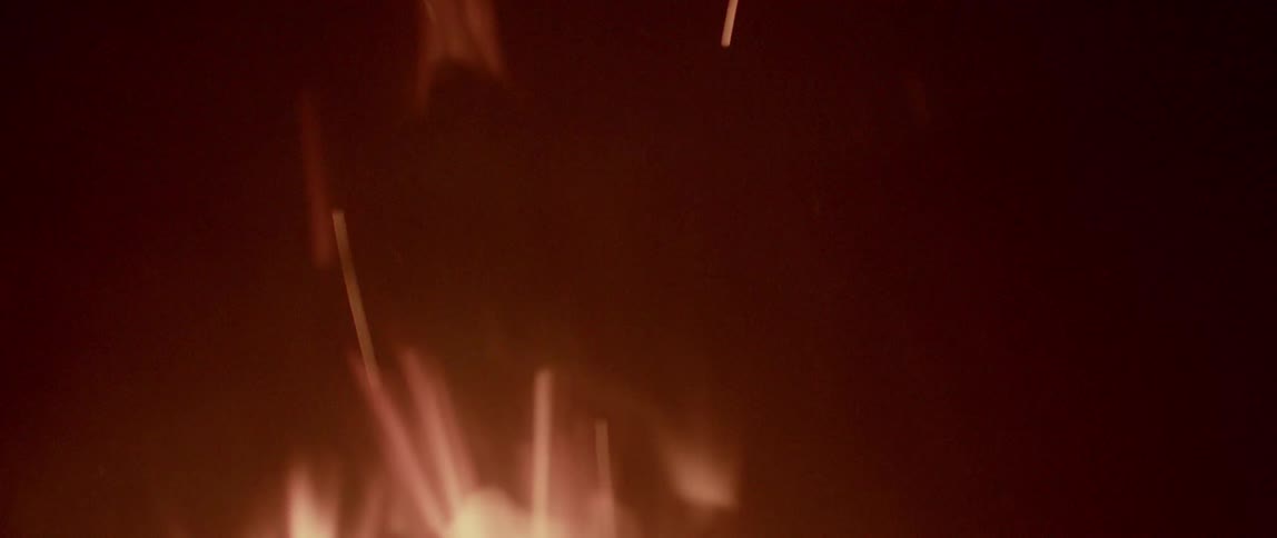 A campfire burns at night
