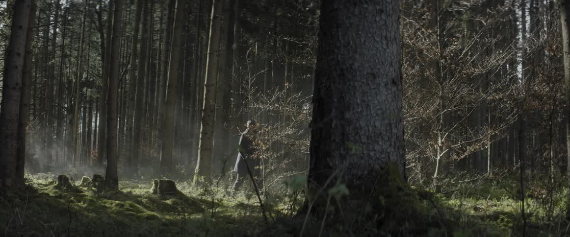 A man walks in the forest