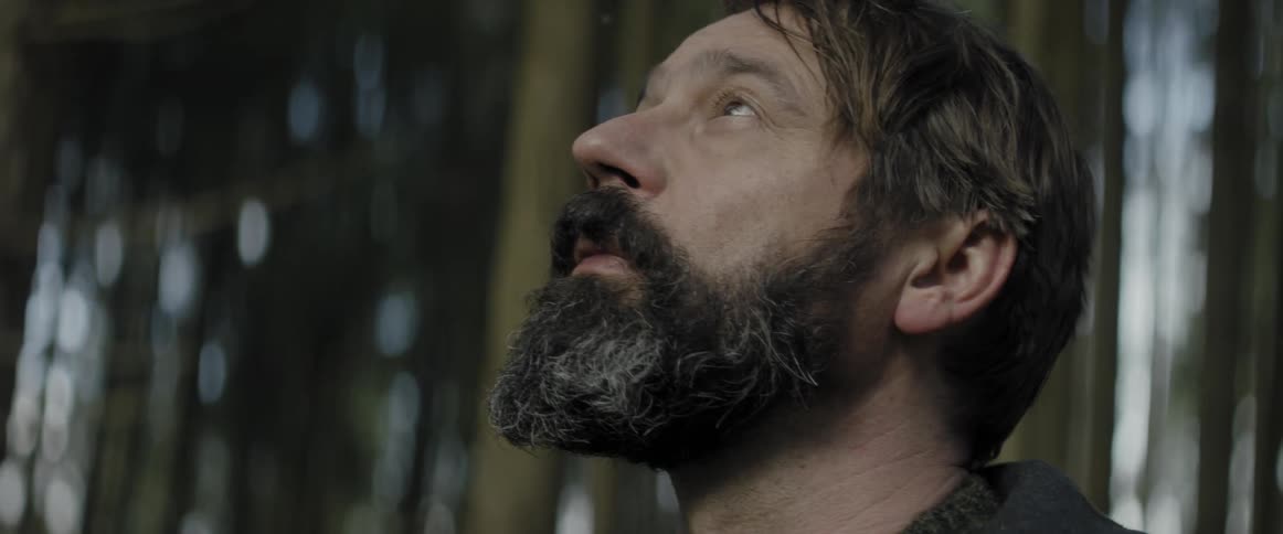 Man stands in a forest