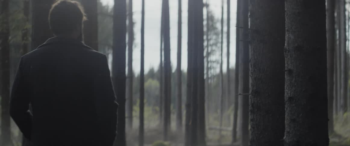 A man is walking between some trees in the forest