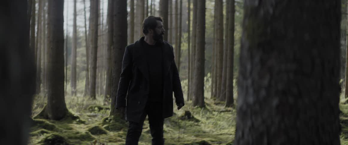 Man walks alone in a forest