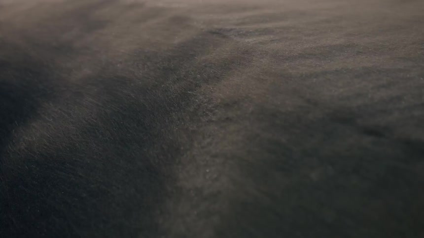Sanding is blowing around in the desert