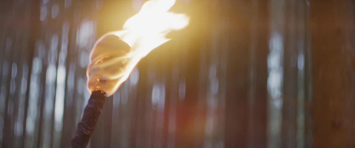 A torch burns in a forest