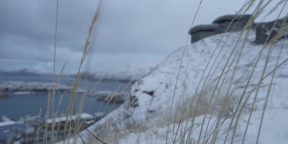 Grass bristles in the wind by the water