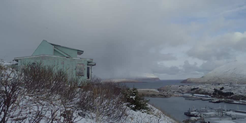 Wind blows the grass and bushes around a house on a snowy hill