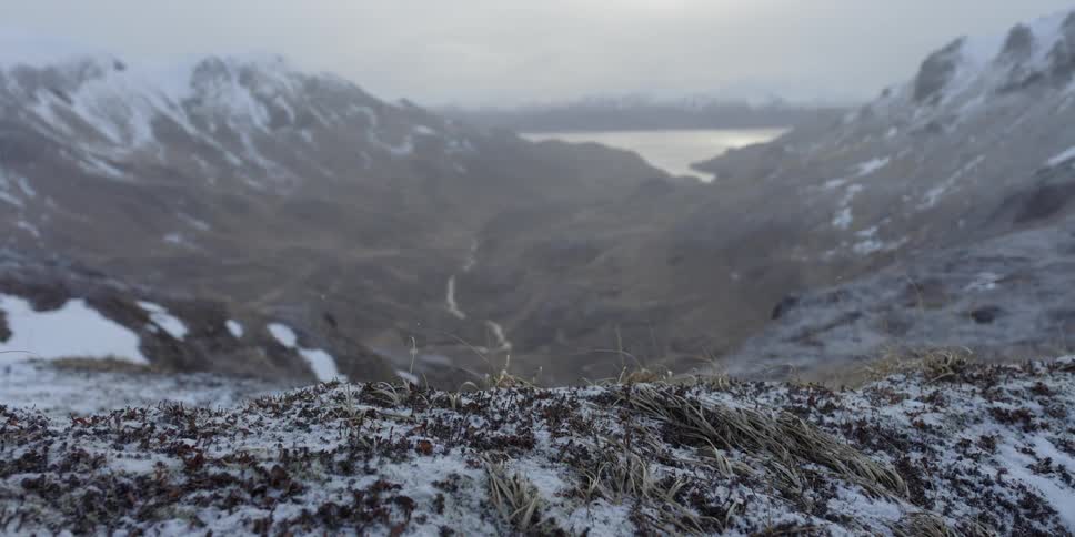 A frozen hillside drops down into a valley