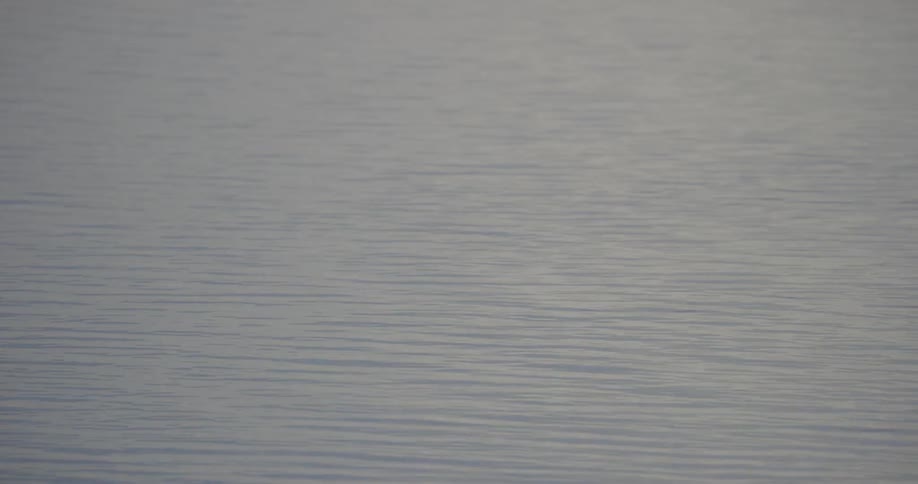Calm seas with only a few ripples