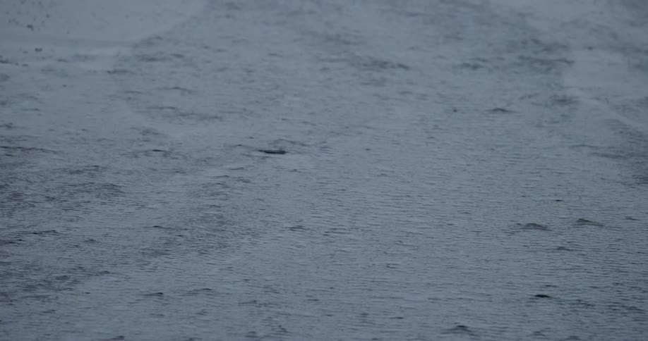Water ripples on a river