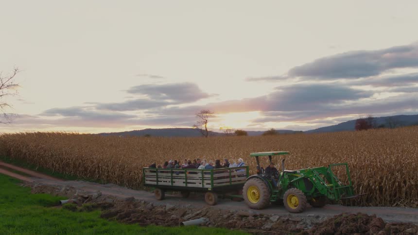 Tractor pulls a wagon filled with people on a path alongside crops