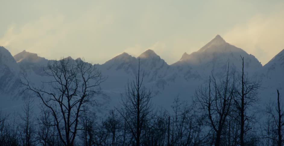 The trees almost cover the mountain at sunset