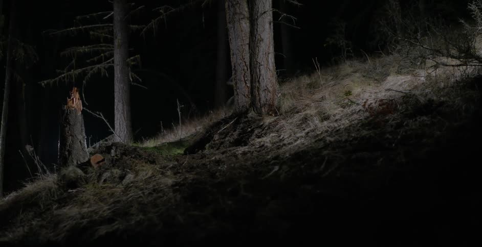 A person on a mountain bike races downhill at night