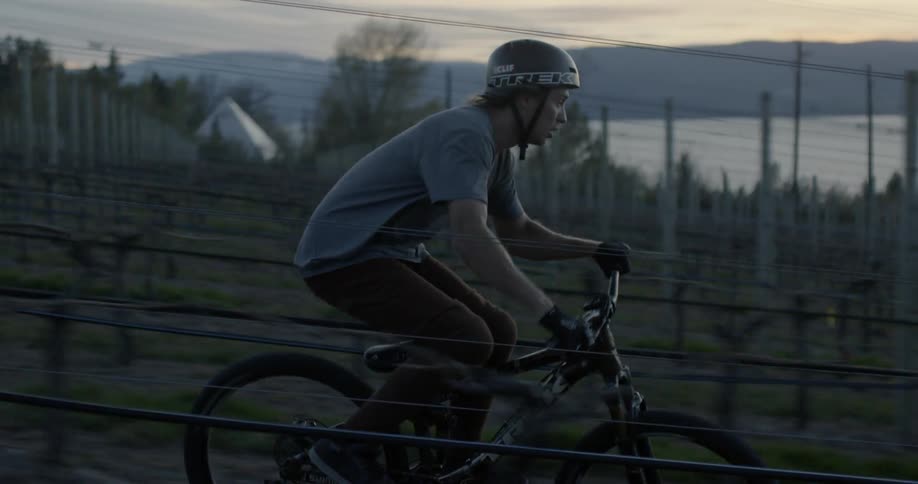 Mountain biker rides through vineyard at dusk