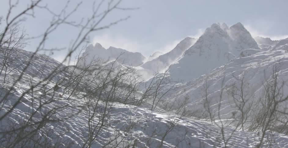 Wind blows branches and snow on a mountain slope