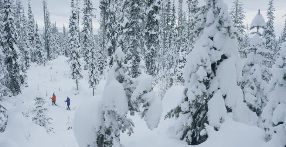 Two people are hiking in the snow covered forest