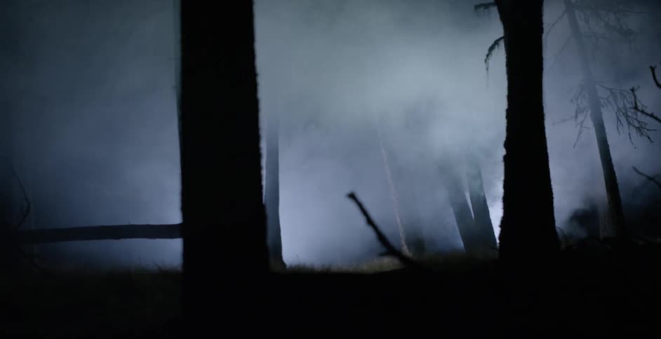 Person biking through a misty forest at night