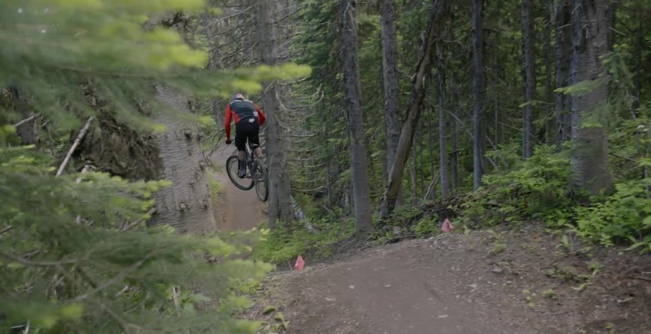 A bicyclist speeds through a forest