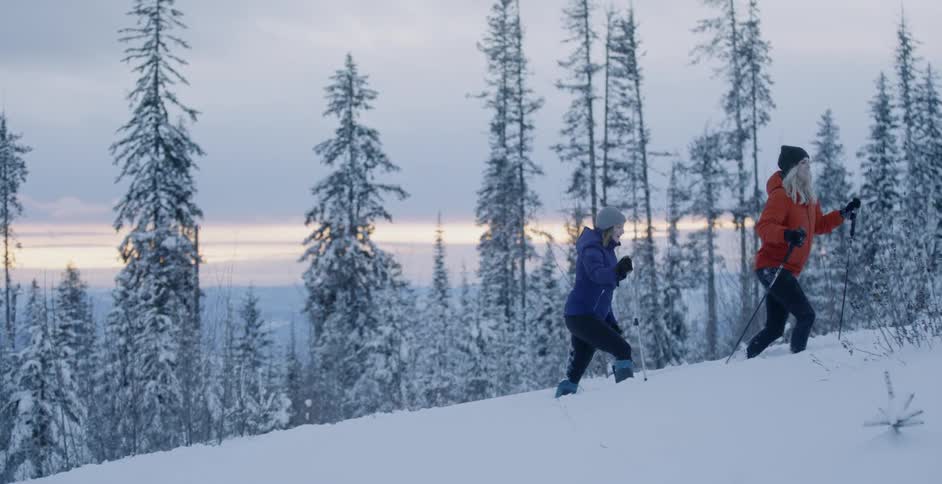 Two women are snowshoeing up a hill on a winter's day