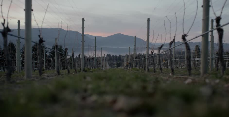 A path through fenced in areas