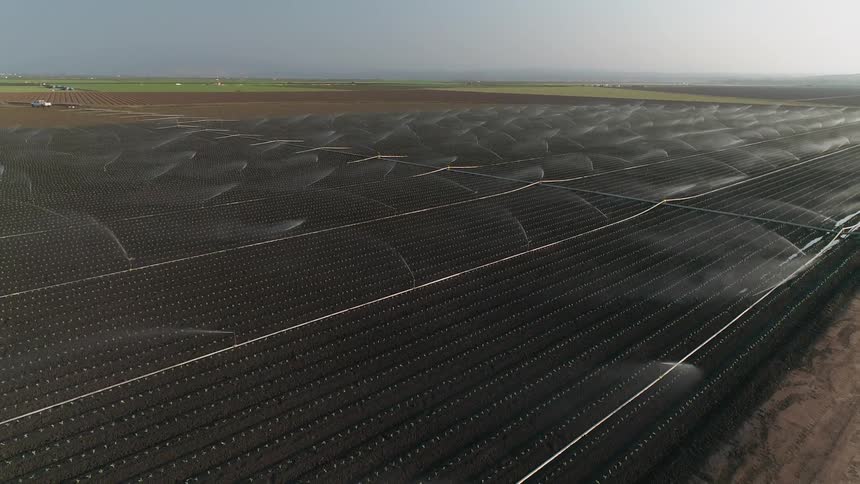 Water is sprayed onto crops in a crop field