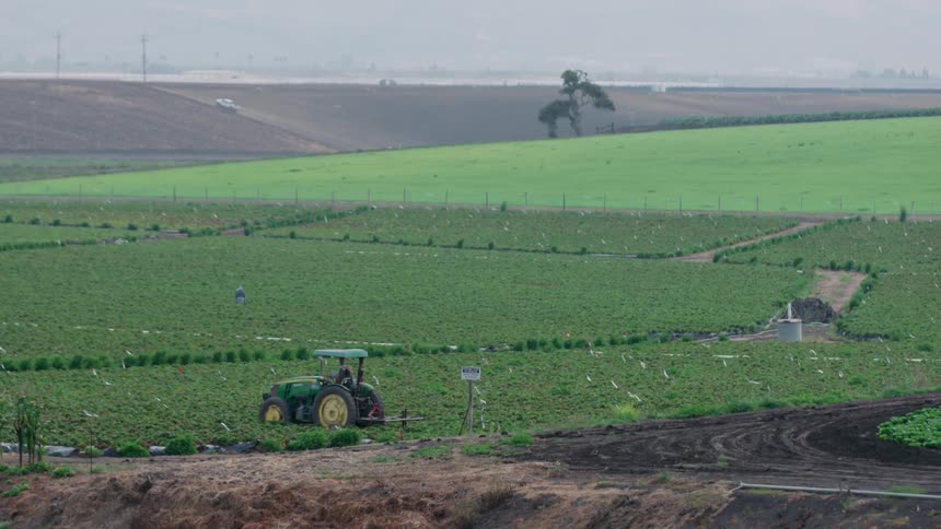 A tractor is working the green field