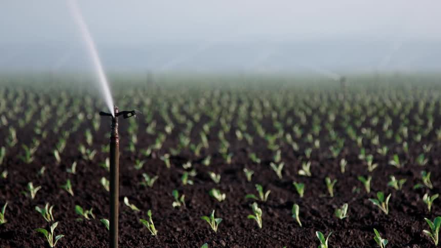 Sprinklers spray water on farm crops