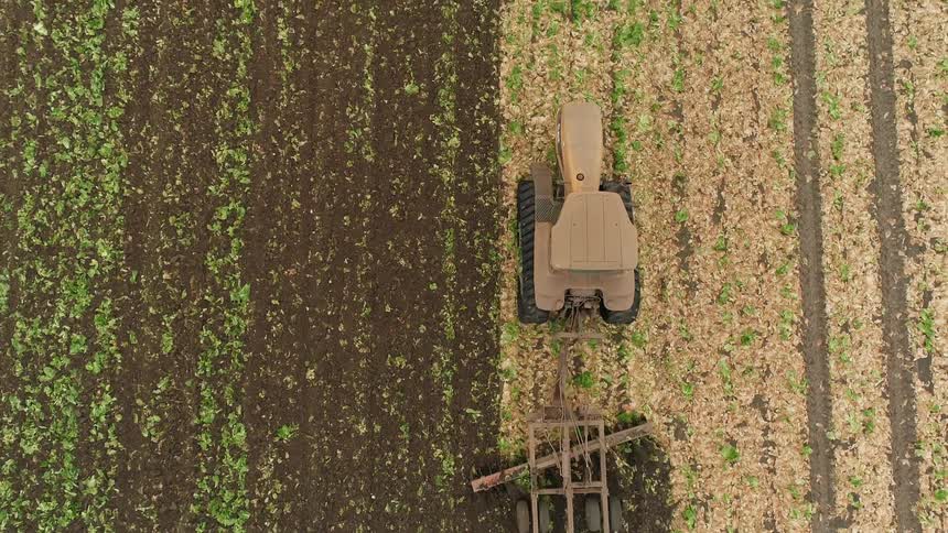 The tractor is working the field