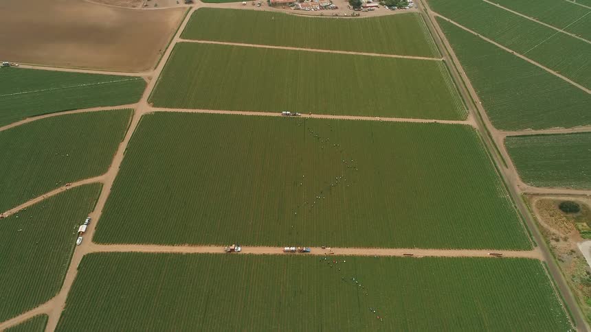 Tractors sit parked on dirt paths between crops