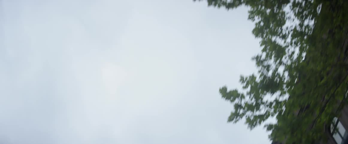 The cloudy sky is lined with some trees