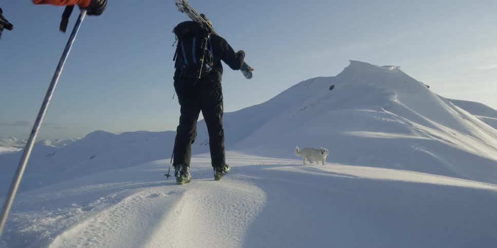 People carrying skis walk up a snow covered slope with their dog