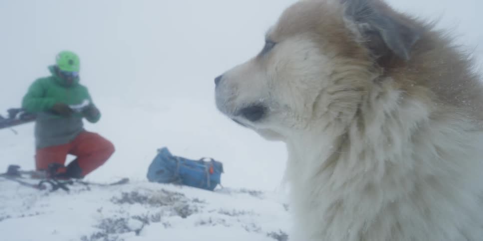 A skier kneels in snowy mountains with a dog